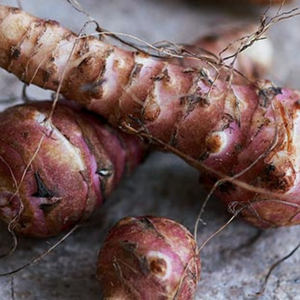 Inulin From Artichoke Root