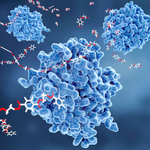 DigeZyme® Multi‑enzymes